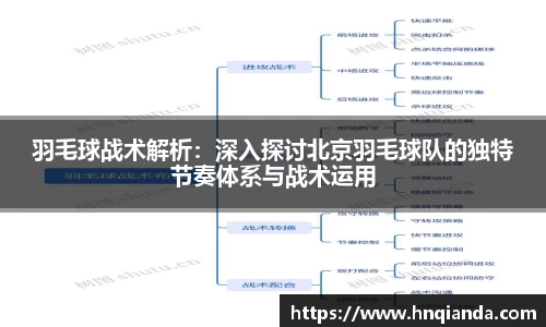 羽毛球战术解析：深入探讨北京羽毛球队的独特节奏体系与战术运用